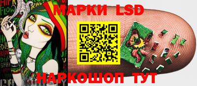 прущие грибы Дубна